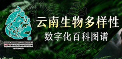 “宝库”重开！“云南生物多样性数字化百科图谱”首期带你看→