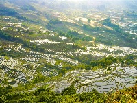 图集丨“大地雕塑”元阳梯田