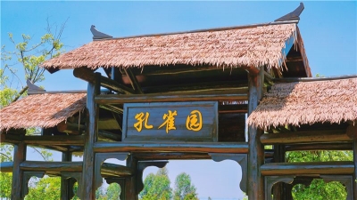 图集丨太平湖森林小镇 孔雀园之旅