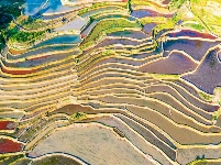 图集丨“大地雕塑”元阳梯田
