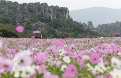 520，我和云南，恋爱了！