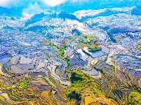 图集丨“大地雕塑”元阳梯田