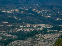 图集丨“大地雕塑”元阳梯田
