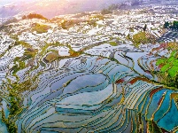 图集丨“大地雕塑”元阳梯田