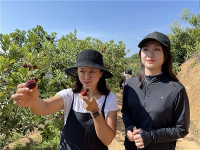 中国旅游日 | “绿色发展，美好生活” 红河州各地举办主题宣传活动