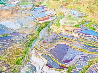 图集丨“大地雕塑”元阳梯田