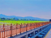 图集丨到石屏异龙湖 来一场清新宁静之旅