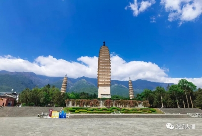 崇圣寺三塔景区救助猫头鹰  促进人与自然和谐相处