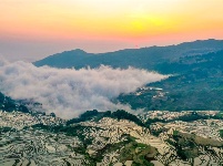 图集丨“大地雕塑”元阳梯田