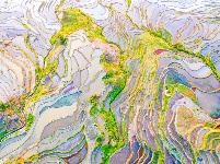 图集丨“大地雕塑”元阳梯田