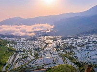图集丨“大地雕塑”元阳梯田