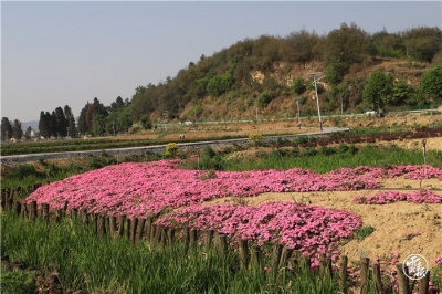 曲靖市马龙区开启全域旅游大门