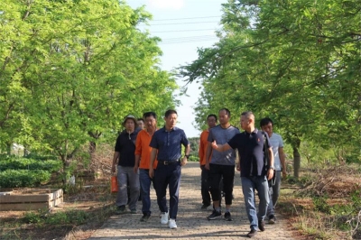 猫哆哩庄园国家级酸角种质资源圃开建