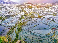 图集丨“大地雕塑”元阳梯田