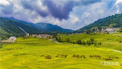 当520遇上蝴蝶大爆发，与1.5亿只蝴蝶相约金平！