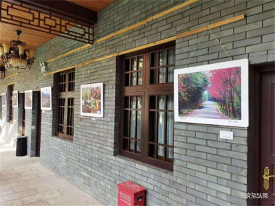玉溪新平县“大美新平 绿色崛起”摄影比赛作品展走进磨盘山国家森林公园