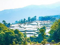 图集丨“大地雕塑”元阳梯田