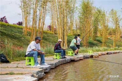 “粽”有千般滋味 太平湖邀你悠享端午