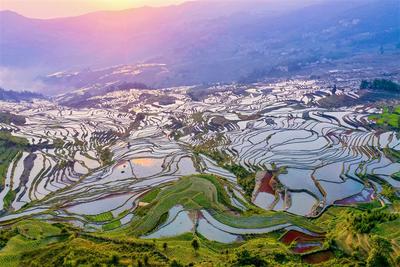 图集丨“大地雕塑”元阳梯田
