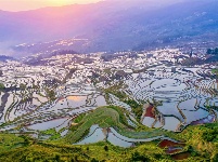 图集丨“大地雕塑”元阳梯田