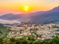 图集丨“大地雕塑”元阳梯田