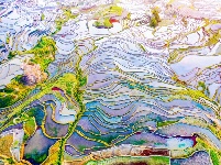 图集丨“大地雕塑”元阳梯田