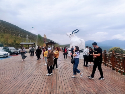 云南高速公路服务区藏着旅程里的“诗和远方”
