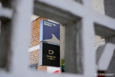 走出故乡，定居乌托邦，2021是海豚阿德书店和小白在大理的第9年