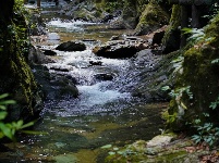 图集丨新平石门峡 哀牢山深处的秘境