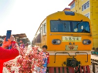 图集丨建水观光小火车