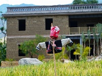 图集丨在新平花腰田间 感受不一样的民族风情