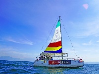 图集丨乘风破浪扬帆起航
