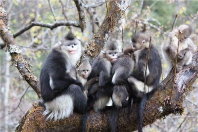 香格里拉亲子游：走进高原秘境 以自然为师  