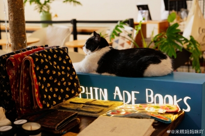 走出故乡，定居乌托邦，2021是海豚阿德书店和小白在大理的第9年