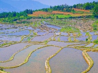 图集丨元阳蓝色梯田——爱春