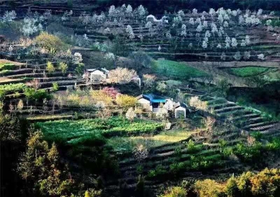 夏日的黄草岭小村，美成了一首长诗！