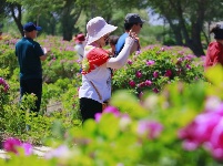 图集 | 走进中国醉美沙漠花园——金沙岛