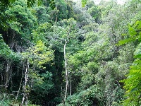 图集丨新平石门峡 哀牢山深处的秘境