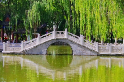 图集 | 宁夏中卫高庙：隐藏在市区的宝藏景点