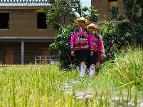 图集丨在新平花腰田间 感受不一样的民族风情