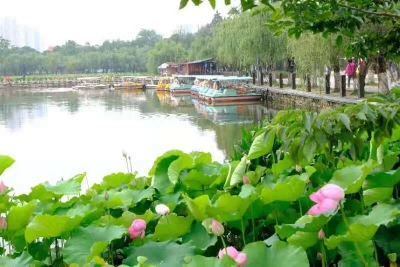 昆明大观楼第十七届荷花展启幕 文创雪糕长这样→