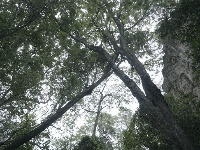 图集 | 鄂嘉石门关 探秘奇险