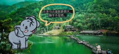这个父亲节，听听象爸爸和小象的普洱故事！