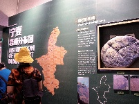 图集 | 贺兰山岩画:岁月失语，惟石能言