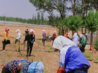 图集 | 走进中国醉美沙漠花园——金沙岛