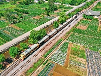 图集丨建水观光小火车
