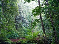 图集丨新平石门峡 哀牢山深处的秘境