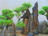 图集丨建水朱家花园