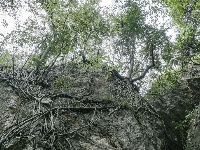 图集 | 鄂嘉石门关 探秘奇险