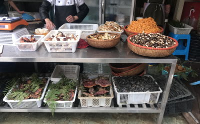 美食 | 雨季限定：这个端午一起来云南吃菌子吧！